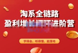 淘系全链路盈利增长闭环进阶营,融合全店动销,学得会、听得懂、能落地!-木石资源网