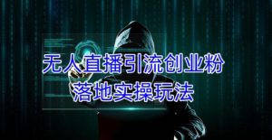 外面收费3980的无人直播引流创业粉落地实操玩法，单日引100+精准创业粉-木石资源网