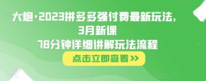 大炮·2023拼多多强付费最新玩法，3月新课​78分钟详细讲解玩法流程-木石资源网