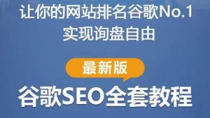 谷歌SEO实战教程:如何让你的网站在谷歌排名第一,内容从入门到高阶,适合个人及团队-木石资源网