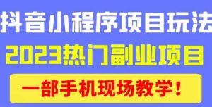 抖音小程序9.0新技巧,2023热门副业项目,动动手指轻松变现-木石资源网