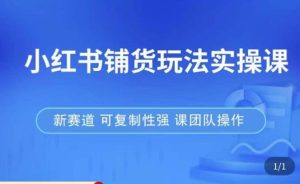 小红书铺货玩法实操课,流量大,竞争小,非常好做,新赛道,可复制性强,可团队操作-木石资源网