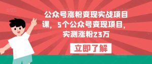 公众号涨粉变现实战项目课，5个公众号变现项目，实测涨粉23万-木石资源网