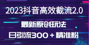 日引300＋创业粉，独家抖音高效截流2.0玩法（价值1280）-木石资源网