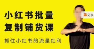 张宾·小红书批量复制铺货课,小红书0-1快速起号变现玩法,抓住小红书的流量红利(更新2023年3月)-木石资源网