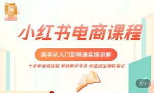 小红书电商新手入门到精通实操课,从入门到精通做爆款笔记,开店运营-木石资源网