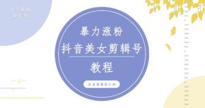 抖音快手暴力涨粉美女混剪视频教程，百分百过原创图片教程！附带违规申诉方法-木石资源网