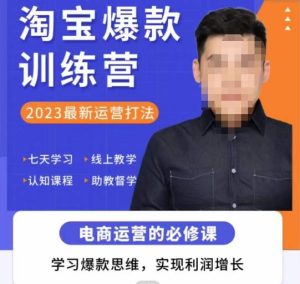 爱上黄昏·淘宝爆款训练营，2023最新运营打法，学习爆款思维，实现利润增长-木石资源网