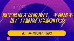 淘宝蓝海无货源项目,不囤货不推广只做冷门高利润代发,花一半时间赚10倍钱-木石资源网