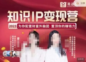 鹿盈盈-知识IP变现实操营,普通人可复制的知识产品落地实操课,带你打通知识IP变现底层逻辑-木石资源网