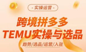 跨境拼多多TEMU实操与选品,掌握平台运营方法技巧,选品避坑12条标准,爆款的底层思路等-木石资源网