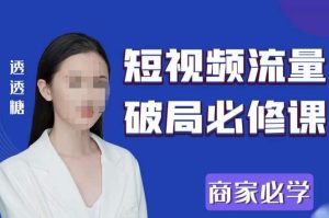 2023最新透糖短视频流量破局必修课——商家必学-木石资源网