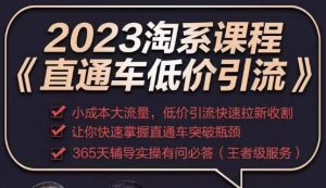 2023直通车低价引流玩法课程，小成本大流量，低价引流快速拉新收割，让你快速掌握直通车突破瓶颈-木石资源网