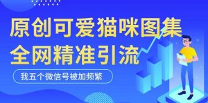 黑科技纯原创可爱猫咪图片,全网精准引流,实操5个VX号被加频繁-木石资源网