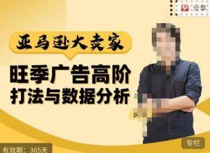 阿甘·亚马逊大卖家广告高阶打法与数据分析,走出传统广告误区;揭秘大卖惯用打法;数据驱动广告决策-木石资源网