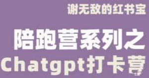 谢无敌ChatGPT打卡营，教你更好地使用ChatGPT来提高工作效率-木石资源网