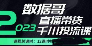 数据哥2023直播电商巨量千川付费投流实操课,快速掌握直播带货运营投放策略-木石资源网