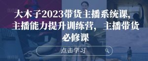 大木子2023带货主播系统课，主播能力提升训练营，主播带货必修课-木石资源网