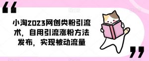 ​小淘2023网创类粉引流术，自用引流涨粉方法发布，实现被动流量-木石资源网