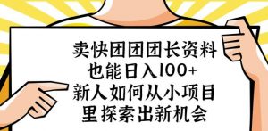 卖快团团团长资料也能日入100+新人如何从小项目里探索出新机会-木石资源网