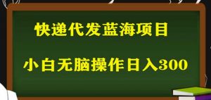 2023最新蓝海快递代发项目，小白零成本照抄也能日入300+-木石资源网