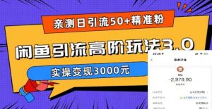 亲测日引50+精准粉，闲鱼引流高阶玩法3.0，实操变现3000元【揭秘】-木石资源网