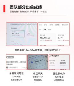 2023小红书电商火爆全网，新晋红利，风口项目，单店收益在3000-30000！-木石资源网