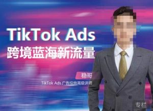 稳哥·如何投出高ROI的TikTok广告,开拓独立站卖家流量新蓝海-木石资源网