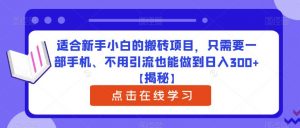 适合新手小白的搬砖项目，只需要一部手机、不用引流也能做到日入300+【揭秘】-木石资源网
