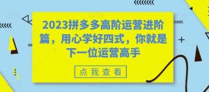 2023拼多多高阶运营进阶篇，用心学好四式，你就是下一位运营高手-木石资源网
