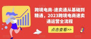 跨境电商-速卖通从基础到精通，2023跨境电商速卖通运营全流程-木石资源网