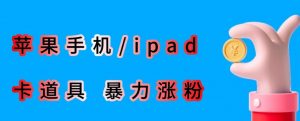 最新利用苹果手机/ipad的ios系统，卡道具搬短视频，百分百过原创-木石资源网
