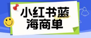 价值2980的小红书商单项目暴力起号玩法，一单收益200-300（可批量放大）-木石资源网