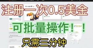 国外项目注册一次0.5美金，只需三分钟无脑操作，可批量同时放大操作，小白工作室福利【揭秘】-木石资源网