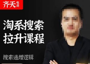 齐天电商·淘系搜索提升课程，​搜索递增标准化，动销标准化流程-木石资源网