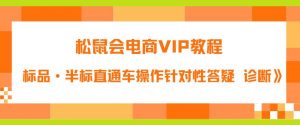 松鼠会电商VIP教程：松鼠《付费推广标品·半标直通车操作针对性答疑&诊断》-木石资源网