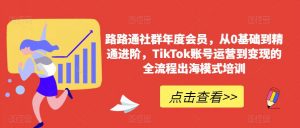 路路通社群年度会员，从0基础到精通进阶，TikTok账号运营到变现的全流程出海模式培训-木石资源网