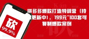 拼多多爆款打造特训营（持续更新中)，199元*100套可复制爆款案例-木石资源网