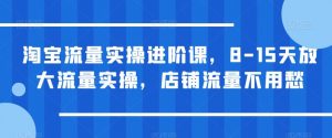 淘宝流量实操进阶课，8-15天放大流量实操，店铺流量不用愁-木石资源网