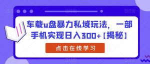 车载u盘暴力私域玩法，一部手机实现日入300+【揭秘】-木石资源网