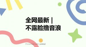 全网最新不露脸撸音浪，跑通自动化成交闭环，实现出单+收徒收益最大化【揭秘】-木石资源网