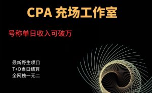 cpa充场工作室,号称单日收入10000+(揭秘)-木石资源网