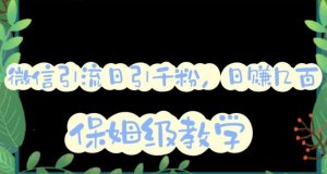 微信互推圈半自动引流方案,矩阵操作日引千人思路【详细视频教程】-木石资源网