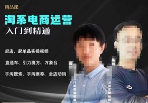 2023手淘搜索实操课+体系化课程,起店起单品实操视频课程-木石资源网