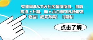 有道词典WOW社区蓝海项目，目前高速上升期，新人小白都可以换取高收益！赶紧布局！【揭秘】-木石资源网