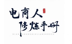 照顾酱·电商人修炼手册,从0到1,手把手教你理解淘宝运营底层逻辑-木石资源网