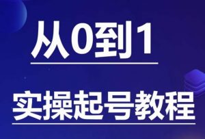 石野·小白起号实操教程,掌握各种起号的玩法技术,了解流量的核心-木石资源网