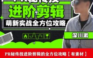 PR进阶剪辑培训班，让你快速成为剪辑大师12节视频课程+素材！-木石资源网