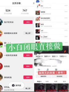 一天做完别一辈子的视频制作最近很火的《1000个野路子信息差》100%过原创【揭秘】-木石资源网