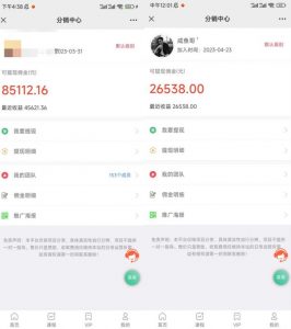 闲鱼流量掘金-虚拟变现新玩法配合全网项目库，精准引流变现3W+-木石资源网